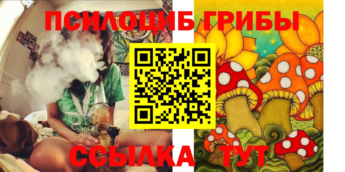 Галлюциногенные грибы Cubensis Дубна